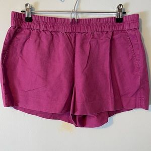 J. Crew Purple Boardwalk Shorts